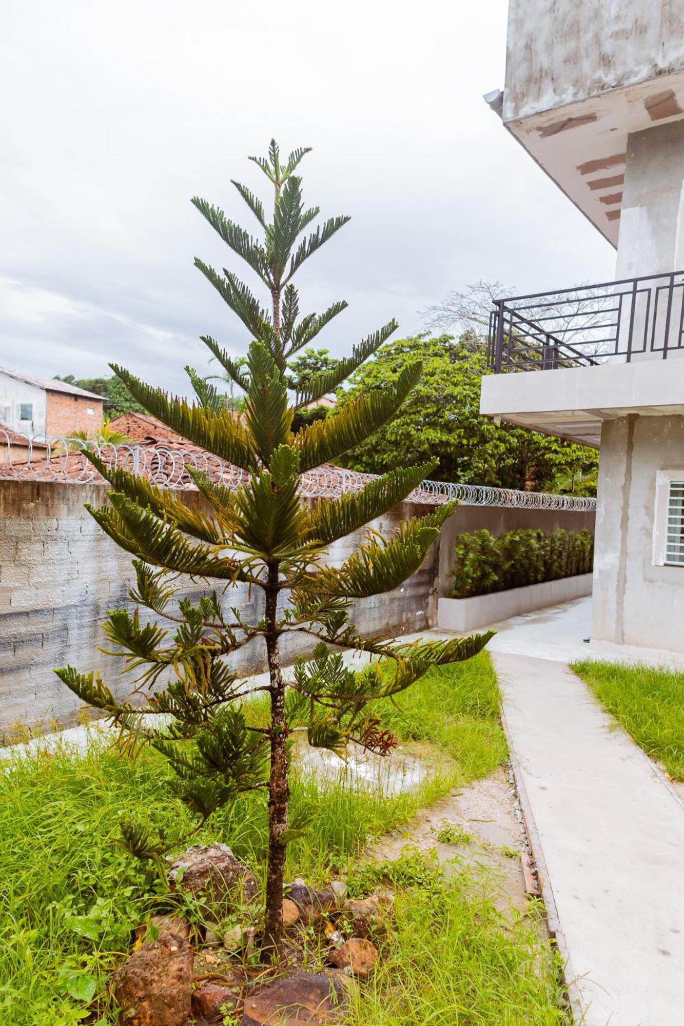 Loft Braganca Apart-Hotel Dış mekan fotoğraf